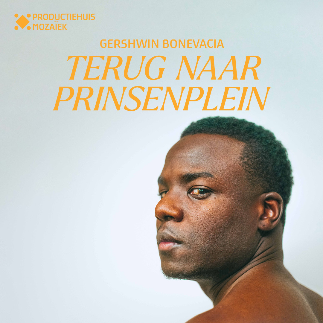 Productiehuis: Terug naar Prinsenplein